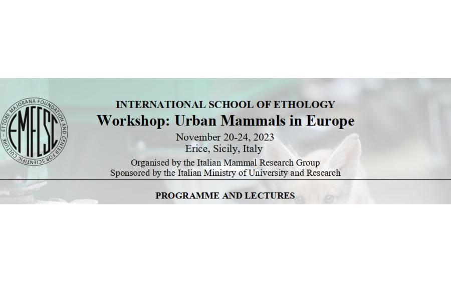 Workshop: Urban Mammals in Europe